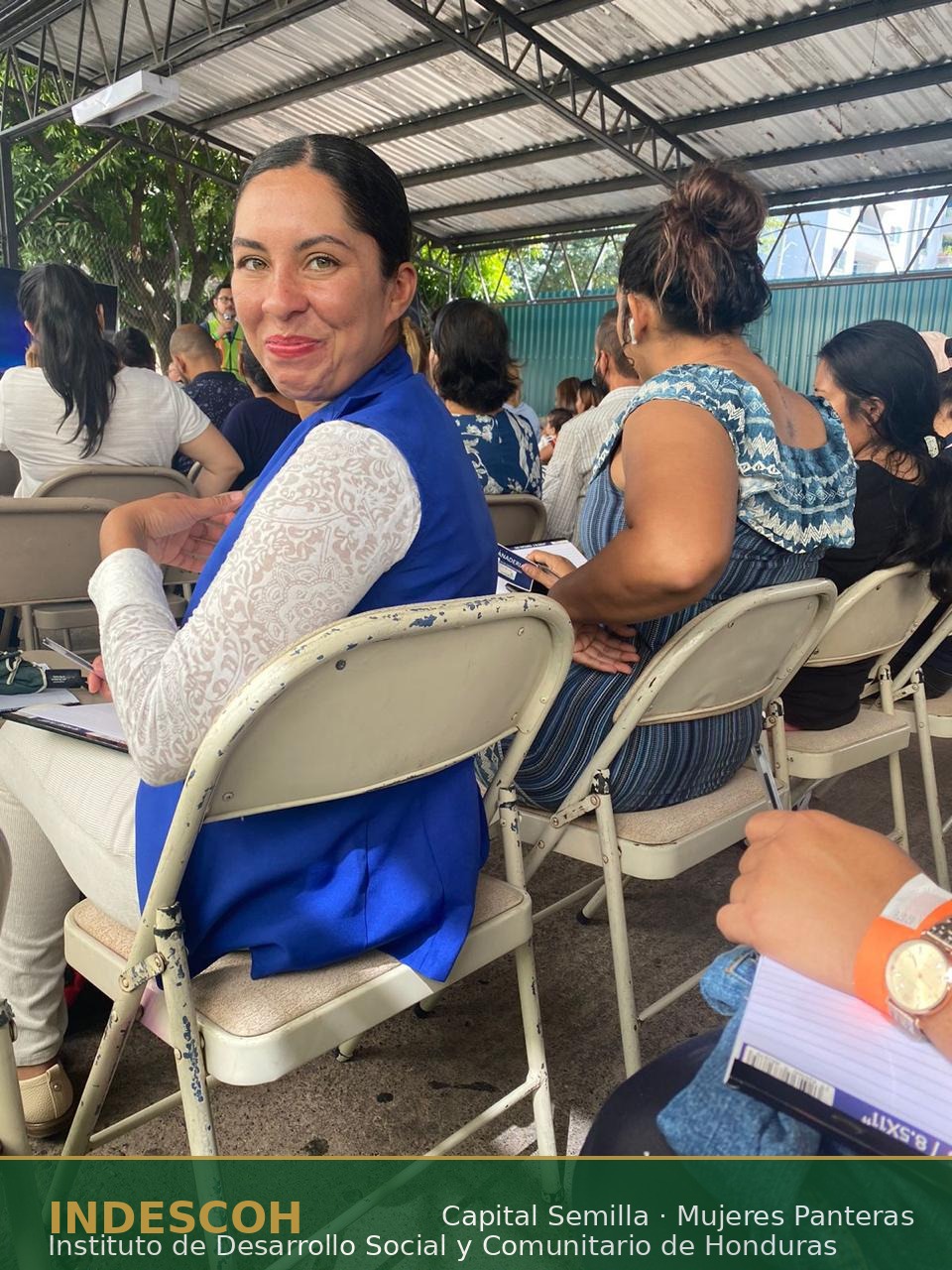 Panteras — Actividad del proyecto